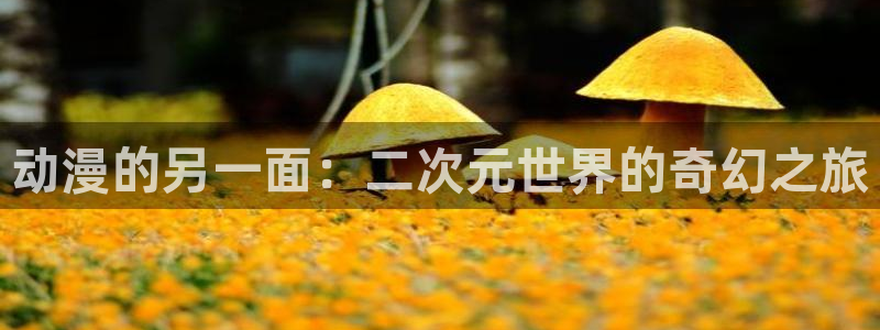 记得香蕉成熟时2粤语：动漫的另一面：二次元世界的奇幻之旅配图