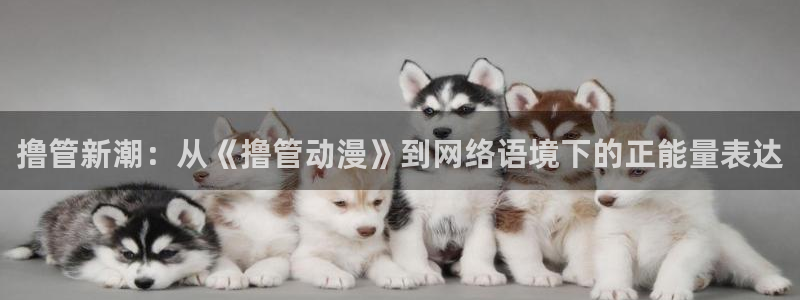 记得香蕉成熟时柏安妮：撸管新潮：从《撸管动漫》到网络语境下的正能量表达配图