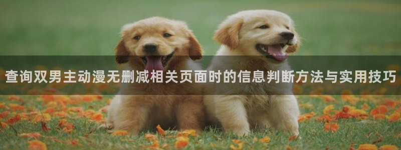 香蕉成熟时童话村：查询双男主动漫无删减相关页面时的信息判断方法与实用技巧配图