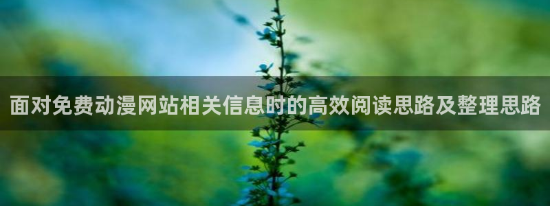 蜜桃成熟时大香蕉:面对免费动漫网站相关信息时的高效阅读思路及整理思路配图
