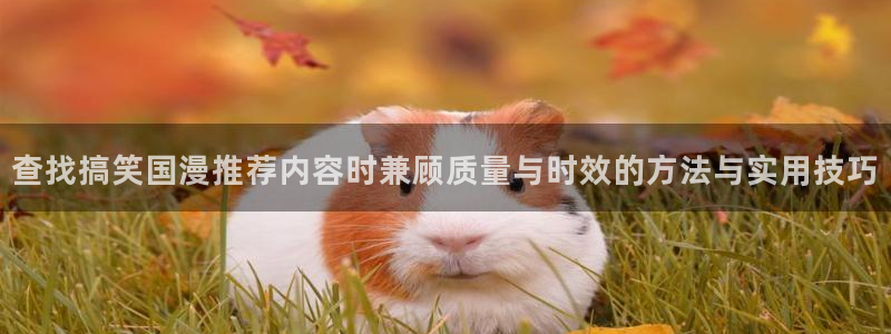 香蕉成熟时豆瓣:查找搞笑国漫推荐内容时兼顾质量与时效的方法与实用技巧配图